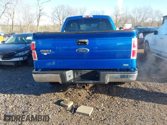2010 Ford F-150 XL with VIN 1FTFX1CV5AFC48259, listed as a IAAI auction lot 41754918 with 167,088 mi miles. Bid and sale history available at carsss.com. Image 16.