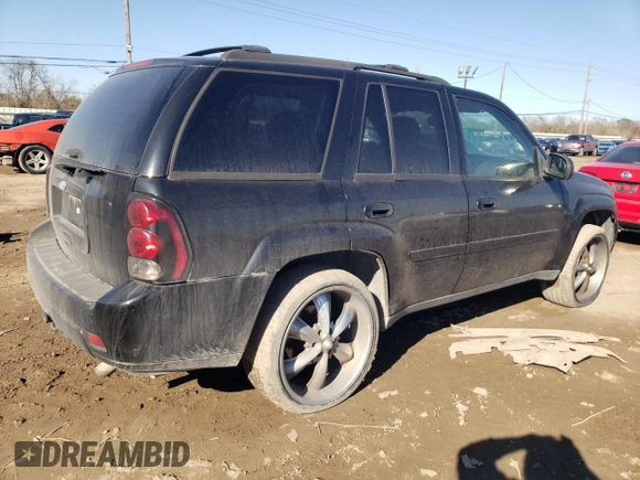 2008 Chevrolet TrailBlazer 1LT with VIN 1GNDT13S582202089, listed as a Copart auction lot 89358285 with 176,407 mi miles and Salvage Title. Bid and sale history available at DreamBid. Image 3.