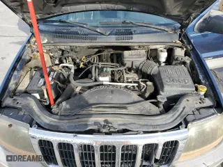 1999 Jeep Grand Cherokee Laredo with VIN 1J4GW58S0XC653687, listed as a Copart auction lot 81166844 with 252,330 mi miles and Salvage Title. Bid and sale history available at carsss.com. Image 12.