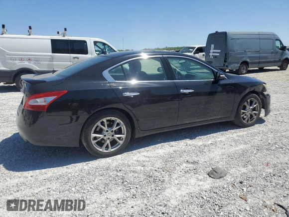 2009 Nissan Maxima SV with VIN 1N4AA51E59C819757, listed as a Copart auction lot 53070385 with 177,688 mi miles and Salvage Title. Bid and sale history available at DreamBid. Image 3.