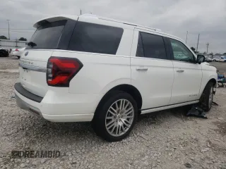 2023 Ford Expedition Platinum with VIN 1FMJU1M86PEA20907, listed as a Copart auction lot 66307573 with 0 mi miles. Bid and sale history available at carsss.com. Image 3.