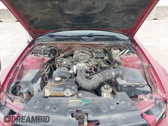 2005 Ford Mustang Deluxe with VIN 1ZVFT80N755228032, listed as a IAAI auction lot 42266782 with 256,895 mi miles and . Bid and sale history available at DreamBid. Image 10.