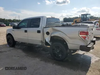 2009 Ford F-150 XL with VIN 1FTRW12WX9FB19889, listed as a Copart auction lot 60272775 with 155,783 mi miles and Salvage title. Bid and sale history available at DreamBid. Image 2.