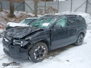 2024 Hyundai Santa Fe SEL with VIN 5NMP2DGL0RH009181, listed as a IAAI auction lot 41629507 with 11,120 mi miles. Bid and sale history available at carsss.com. Image 2.