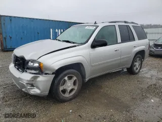 2008 Chevrolet TrailBlazer LT w/1LT with VIN 1GNDS13SX82117476, listed as a Copart auction lot 42653155 with 138,169 mi miles and Salvage Title. Bid and sale history available at carsss.com. Image 1.