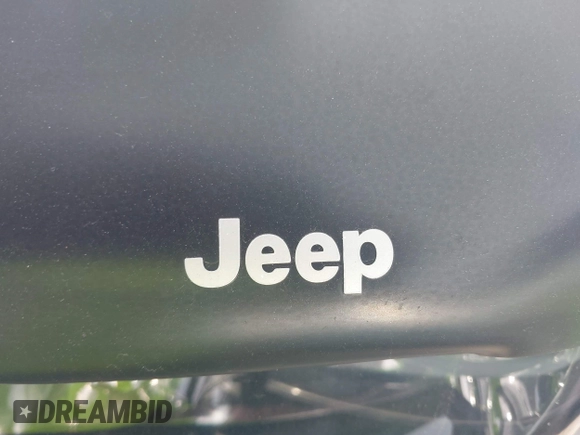 2004 Jeep Grand Cherokee Laredo with VIN 1J4GW48N84C234194, listed as a IAAI auction lot 42388702 with 237,643 mi miles and . Bid and sale history available at DreamBid. Image 12.