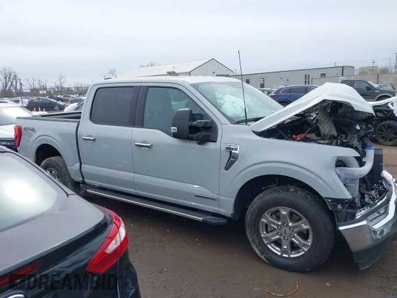 2023 Ford F-150 XL with VIN 1FTFW1ED1PFA78062, listed as a IAAI auction lot 41837577 with 46,430 mi miles. Bid and sale history available at carsss.com. Image 14.