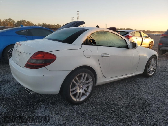 2009 Mercedes-Benz SLK-Class 3.0L with VIN WDBWK54F29F204033, listed as a Copart auction lot 75133864 with 0 mi miles and Salvage Title. Bid and sale history available at carsss.com. Image 3.