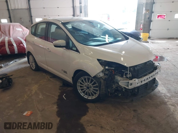 2016 Ford C-Max SEL with VIN 1FADP5CU2GL110832, listed as a IAAI auction lot 41764729 with 119,724 mi miles and . Bid and sale history available at DreamBid. Image 1.