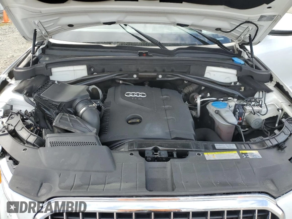 2014 Audi Q5 Premium Plus with VIN WA1LFAFP9EA066533, listed as a Copart auction lot 51708925 with 0 mi miles and Salvage Title. Bid and sale history available at carsss.com. Image 12.