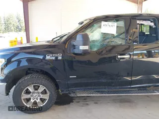 2016 Ford F-150 XLT z VIN 1FTEX1EP2GFB44234, wystawiony jako IAAI lot #42171327 z przebiegiem 221 397 mil mil oraz . Historia ofert i sprzedaży dostępna na DreamBid. Obrazek 6.