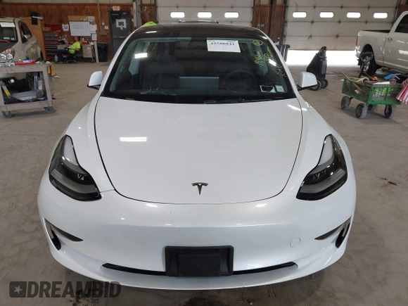 2023 Tesla Model 3 с VIN 5YJ3E1EA8PF501350, выставлен на аукционе IAAI как лот 42500841 с пробегом 19 466 миль миль и . История ставок и продаж доступна на DreamBid. Изображение 12.