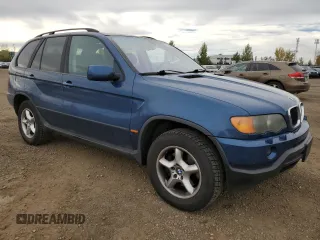 2002 BMW X5 3.0i with VIN 5UXFA53552LH80222, listed as a Copart auction lot 73536884 with 312,697 mi miles and Clean Title. Bid and sale history available at carsss.com. Image 4.