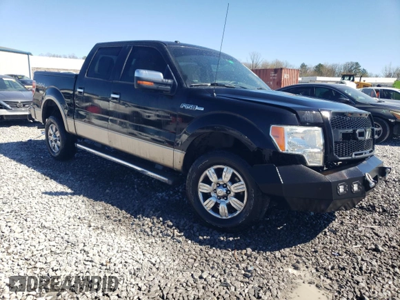 2012 Ford F-150 XL with VIN 1FTFW1EF1CFC47492, listed as a Copart auction lot 49002225 with 189,042 mi miles and Salvage Title. Bid and sale history available at carsss.com. Image 4.