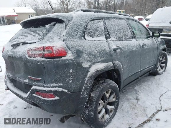 2014 Jeep Cherokee Trailhawk with VIN 1C4PJMBB9EW162280, listed as a IAAI auction lot 41341238 with 135,231 mi miles. Bid and sale history available at carsss.com. Image 4.