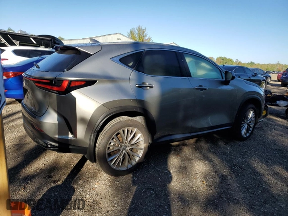 2023 Lexus NX with VIN 2T2GKCEZXPC012007, listed as a Copart auction lot 73273994 with 20,893 mi miles and Salvage Title. Bid and sale history available at carsss.com. Image 3.