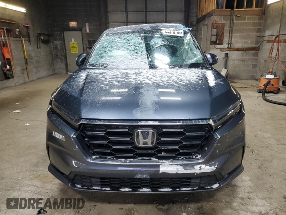 2024 Honda CR-V LX with VIN 2HKRS4H25RH405236, listed as a Copart auction lot 84370704 with Not Provided miles and Salvage Title. Bid and sale history available at DreamBid. Image 5.