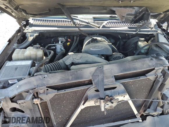 2005 Chevrolet Silverado 1500 Work Truck with VIN 1GCEC14V85Z138574, listed as a Copart auction lot 59413614 with Not provided miles and Salvage title. Bid and sale history available at DreamBid. Image 11.