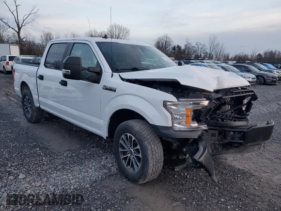 2020 Ford F-150 with VIN 1FTEW1P41LKF21496, listed as a Copart auction lot 81528664 with Not provided miles and Salvage title. Bid and sale history available at DreamBid. Image 4.
