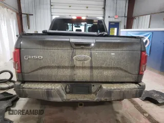 2015 Ford F-150 XLT with VIN 1FTEX1EP5FFC13030, listed as a Copart auction lot 46845495 with 177,880 mi miles and Salvage Title. Bid and sale history available at carsss.com. Image 6.