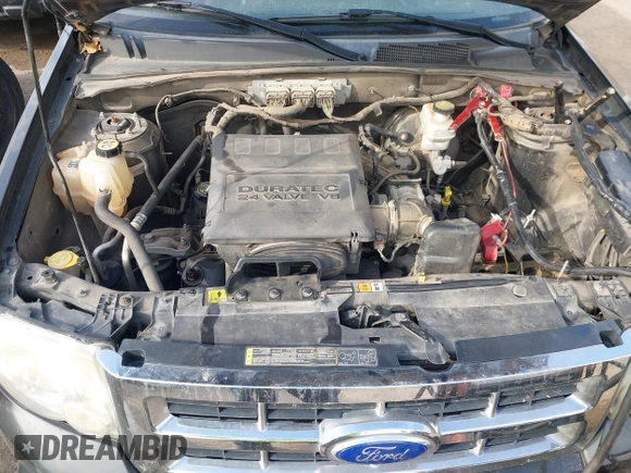 2011 Ford Escape XLT with VIN 1FMCU9DG3BKB95799, listed as a IAAI auction lot 41058817 with Not provided miles and . Bid and sale history available at DreamBid. Image 10.