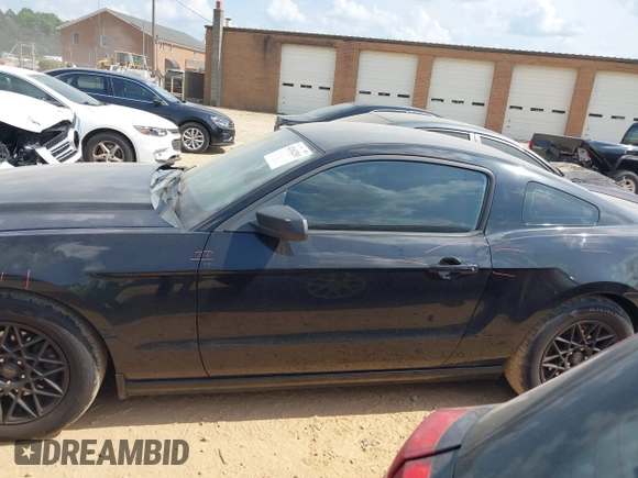 2013 Ford Mustang V6 with VIN 1ZVBP8AM4D5243305, listed as a IAAI auction lot 42162203 with 141,196 mi miles and . Bid and sale history available at DreamBid. Image 13.