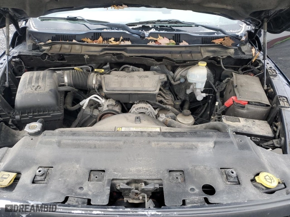 2010 Dodge Ram 1500 ST with VIN 1D7RV1GP5AS240447, listed as a Copart auction lot 84054314 with 160,843 mi miles and Salvage Title. Bid and sale history available at carsss.com. Image 11.