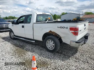 2011 Ford F-150 XL with VIN 1FTFX1EFXBKD38263, listed as a Copart auction lot 55781605 with 260,213 mi miles and Salvage title. Bid and sale history available at DreamBid. Image 2.