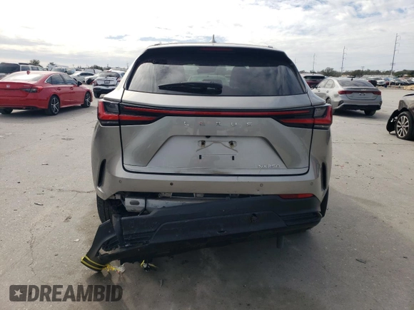 2024 Lexus NX 250 Premium с VIN 2T2GDCAZ0RC008356, выставлен на аукционе Copart как лот 87686115 с пробегом 23 050 миль миль и Списание • Salvage title. История ставок и продаж доступна на DreamBid. Изображение 6.