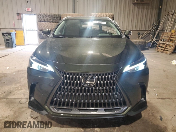 2025 Lexus NX 350 z VIN 2T2AGCEZ5SC081445, wystawiony jako Copart lot #51842125 z przebiegiem 9 861 mil mil oraz Szkoda całkowita • Salvage title. Historia ofert i sprzedaży dostępna na DreamBid. Obrazek 5.