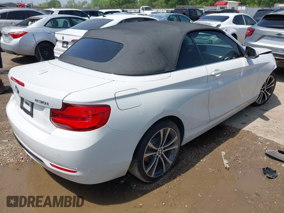 2019 BMW 2 Series 230i with VIN WBA2M7C56KVD52017, listed as a IAAI auction lot 41922976 with 42,194 mi miles and . Bid and sale history available at carsss.com. Image 4.