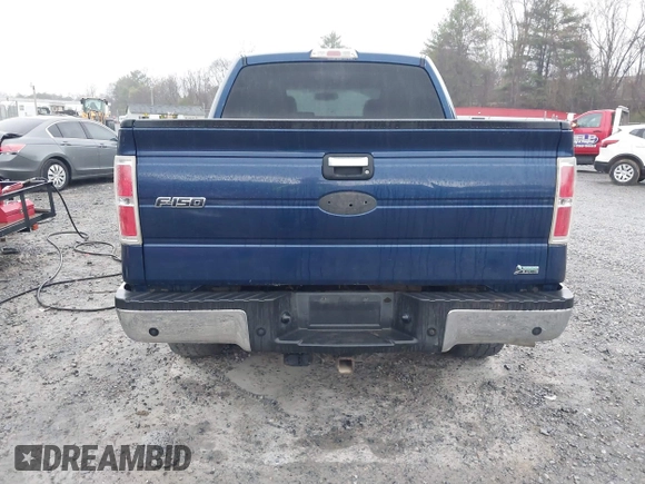 2010 Ford F-150 XL z VIN 1FTFW1EV2AFB75125, wystawiony jako IAAI lot #41835923 z przebiegiem 219 460 mil mil oraz . Historia ofert i sprzedaży dostępna na DreamBid. Obrazek 16.