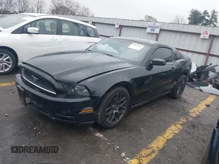 2013 Ford Mustang V6 with VIN 1ZVBP8AM9D5253490, listed as a IAAI auction lot 41856886 with 236,348 mi miles and . Bid and sale history available at DreamBid. Image 17.