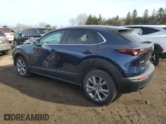 2021 Mazda CX-30 Preferred with VIN 3MVDMACL3MM227105, listed as a Copart auction lot 49101975 with Not Provided miles and Salvage Title. Bid and sale history available at DreamBid. Image 2.