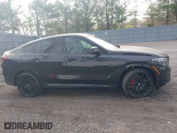 2025 BMW X6 xDrive40i with VIN 5UX33EX09S9Y89594, listed as a IAAI auction lot 42072438 with 460 mi miles and . Bid and sale history available at DreamBid. Image 13.