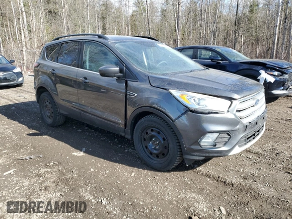 2017 Ford Escape SE with VIN 1FMCU0GD3HUD61572, listed as a Copart auction lot 51241255 with 215,193 mi miles and Clean Title. Bid and sale history available at carsss.com. Image 4.
