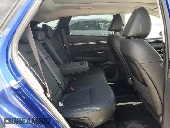 2023 Hyundai Tucson Limited with VIN 5NMJECAE1PH270656, listed as a Copart auction lot 60843895 with 8,743 mi miles and Salvage title. Bid and sale history available at DreamBid. Image 10.