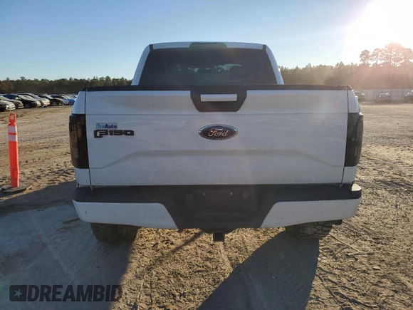 2015 Ford F-150 XLT with VIN 1FTEW1EP9FFC91698, listed as a Copart auction lot 87816535 with 127,459 mi miles and Salvage Title. Bid and sale history available at DreamBid. Image 6.