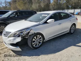 2014 Hyundai Azera with VIN KMHFG4JG1EA385784, listed as a Copart auction lot 49060695 with 168,953 mi miles and Salvage Title. Bid and sale history available at carsss.com. Image 1.