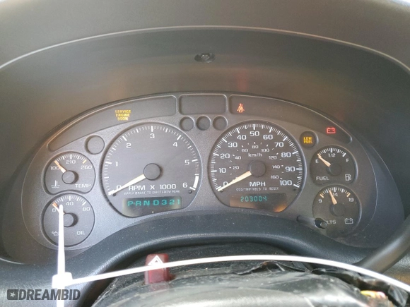 2003 Chevrolet Blazer LS with VIN 1GNDT13X43K162107, listed as a Copart auction lot 74463044 with 203,004 mi miles and Salvage Title. Bid and sale history available at carsss.com. Image 9.