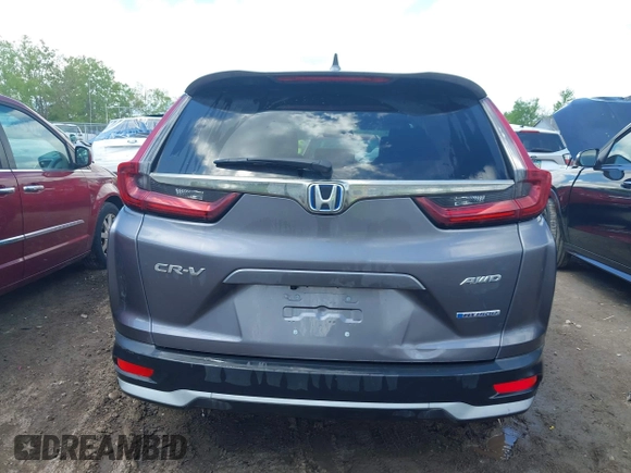 2020 Honda CR-V EX-L with VIN 7FART6H86LE013079, listed as a IAAI auction lot 42254685 with 8,822 mi miles and . Bid and sale history available at DreamBid. Image 17.