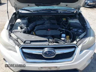 2014 Subaru Crosstrek Premium z VIN JF2GPAVC5E8204595, wystawiony jako IAAI lot #42310962 z przebiegiem 202 319 mil mil oraz . Historia ofert i sprzedaży dostępna na DreamBid. Obrazek 10.