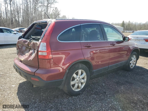 2007 Honda CR-V EX-L with VIN 5J6RE48797L800641, listed as a Copart auction lot 50050585 with 279,518 mi miles and Clean Title. Bid and sale history available at carsss.com. Image 3.