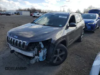2020 Jeep Cherokee Limited with VIN 1C4PJMDN4LD534379, listed as a Copart auction lot 41686455 with 59,695 mi miles and Salvage title. Bid and sale history available at DreamBid. Image 1.