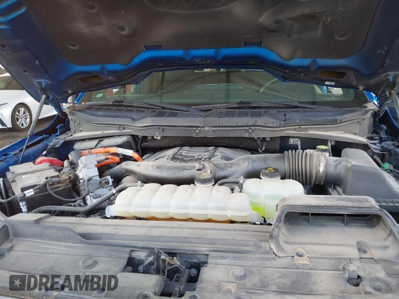 2021 Ford F-150 XL with VIN 1FTFW1CD0MFC50953, listed as a IAAI auction lot 41466036 with 33,983 mi miles and . Bid and sale history available at DreamBid. Image 10.