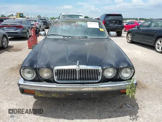 1982 Jaguar XJ with VIN SAJAV1248CC341050, listed as a IAAI auction lot 42653594 with Not provided miles and . Bid and sale history available at DreamBid. Image 12.