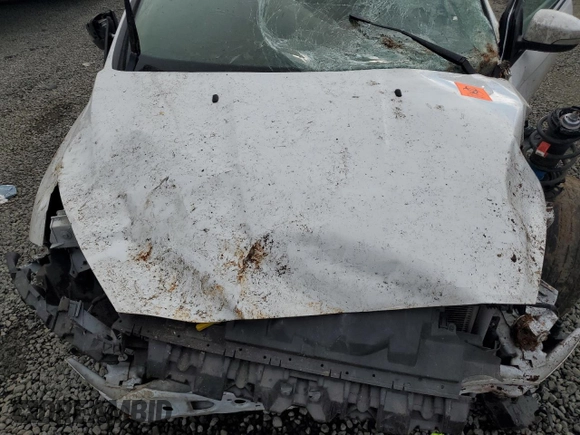 2016 Ford Focus SE with VIN 1FADP3K21GL384303, listed as a Copart auction lot 50974105 with Not Provided miles and Salvage Title. Bid and sale history available at carsss.com. Image 12.