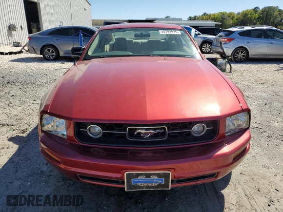 2006 Ford Mustang Standard with VIN 1ZVFT80N365106267, listed as a Copart auction lot 49793925 with Not Provided miles and Salvage Title. Bid and sale history available at carsss.com. Image 5.