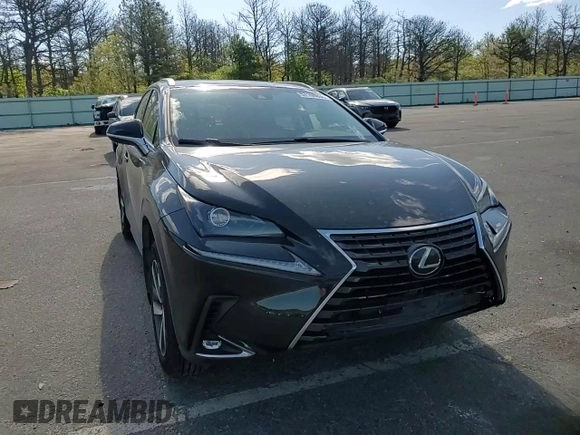 2019 Lexus NX 300 with VIN JTJBARBZ3K2203877, listed as a Copart auction lot 57160035 with 46,238 mi miles and Salvage title. Bid and sale history available at DreamBid. Image 14.