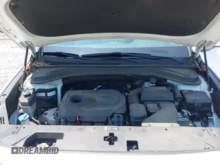 2019 Hyundai Santa Fe SE with VIN 5NMS23AD0KH013811, listed as a IAAI auction lot 42337926 with 87,000 mi miles and . Bid and sale history available at DreamBid. Image 10.